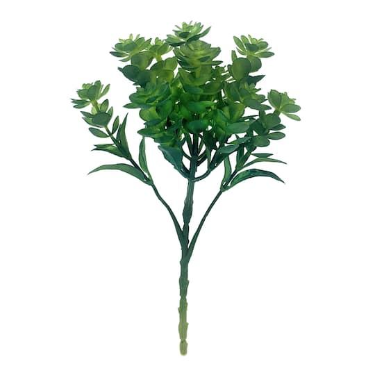 Green Japanese Stonecrop Pick by Ashland&#xAE;